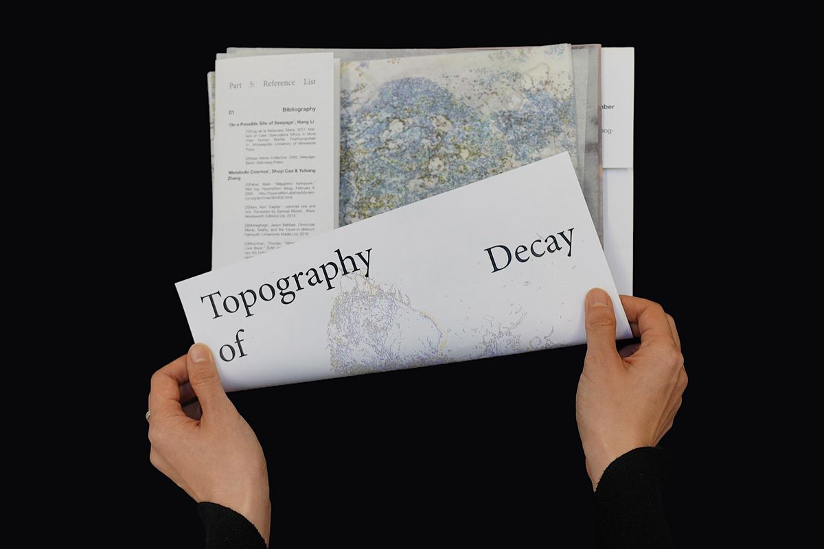 TOPOGRAPHY OF DECAY: OPEN LIBRARY