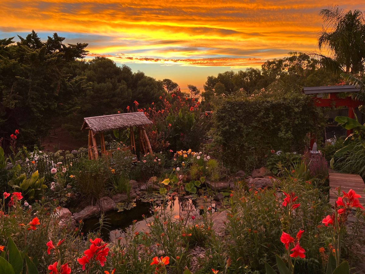 Christmas in Turlatina Wirra -Tranquil Garden in Seacliff