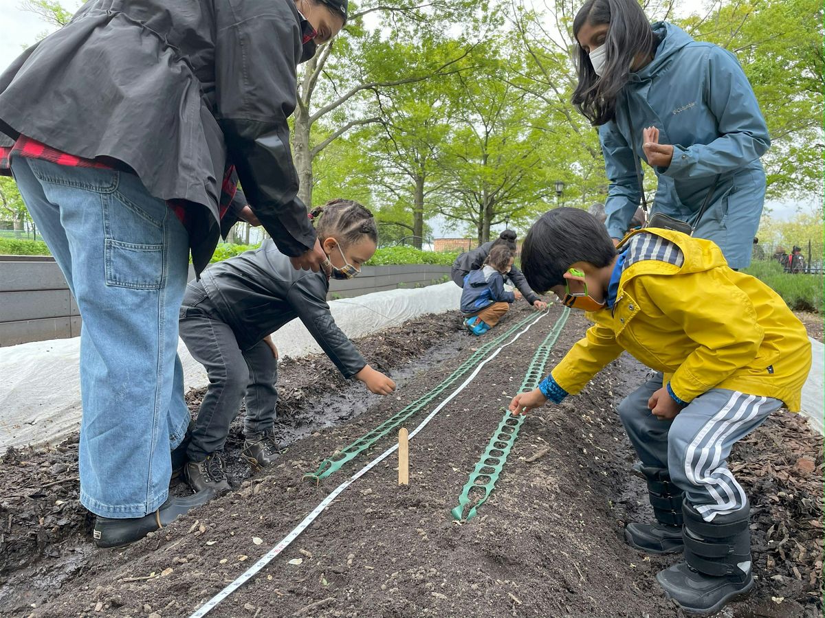 Family Farm Volunteer Day at The Battery Urban Farm: July