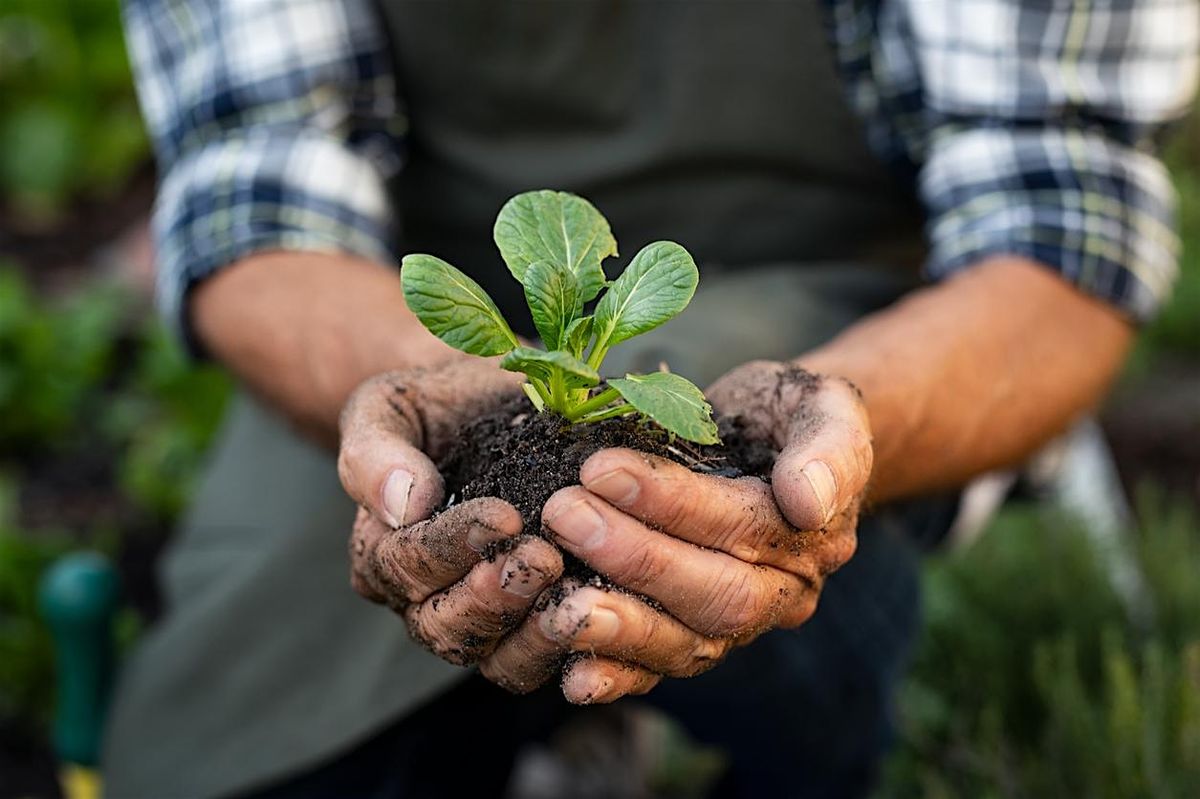 Fund Your Vision: Grant and Loan Readiness for Food-Focused Projects