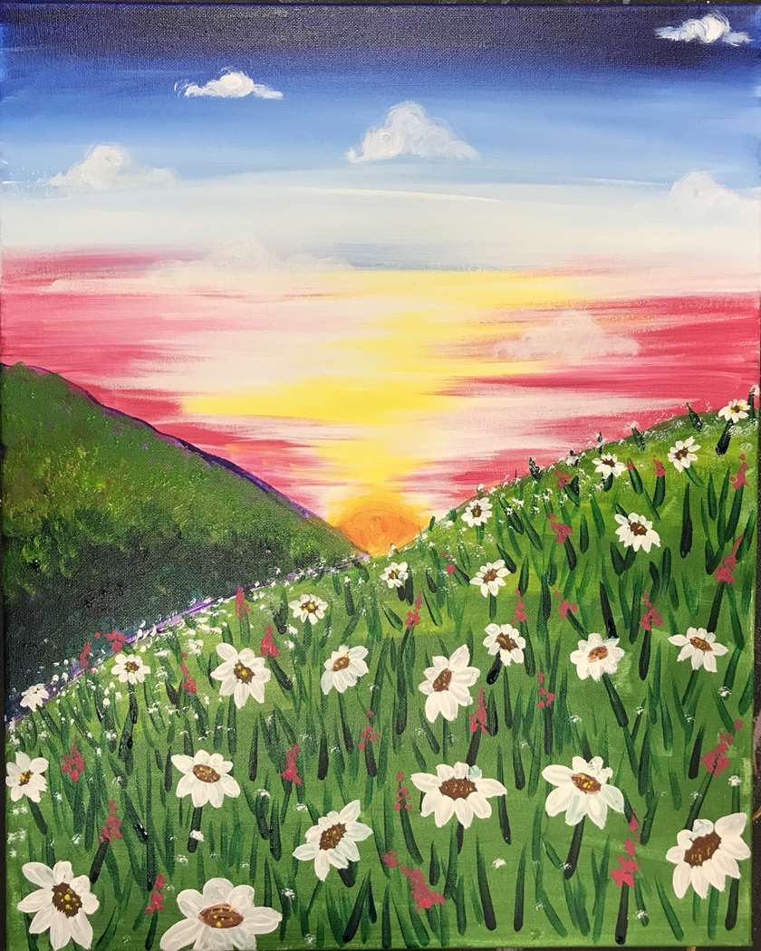 Daisy Field at Sunrise