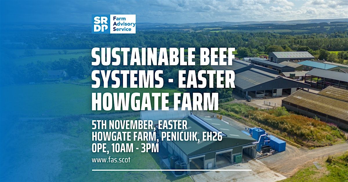 Sustainable Beef Systems - Easter Howgate Farm