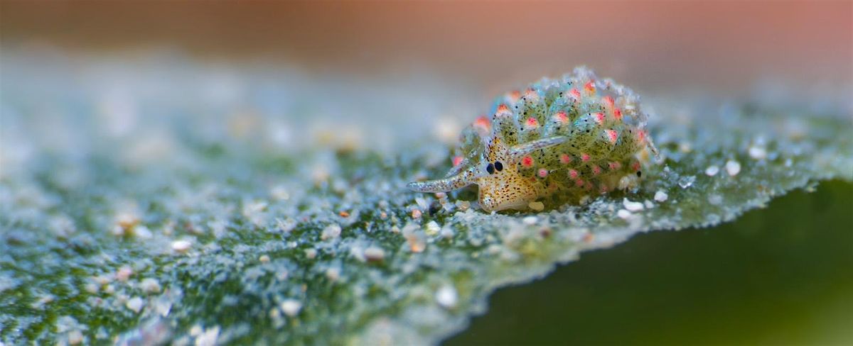 Singapore\u2019s Scientists: Using technology to protect our waters