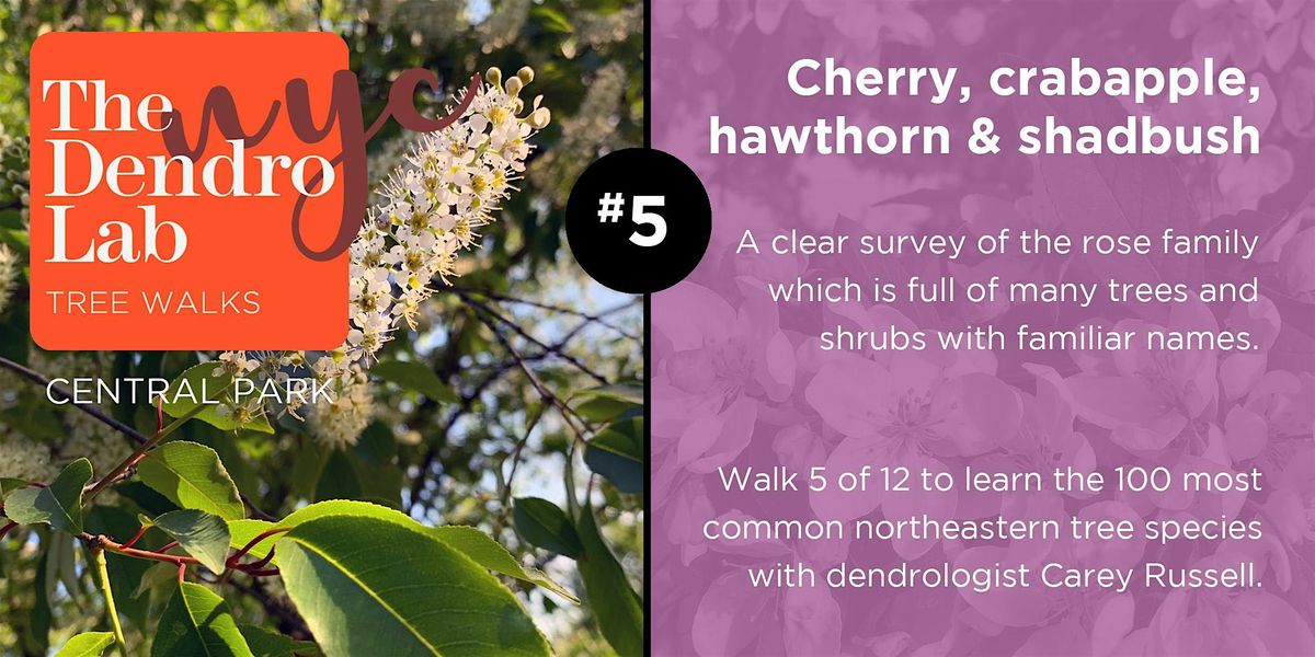 Cherry, Crabapple, & Hawthorn Tree Identification Workshop  (1 - 3pm)