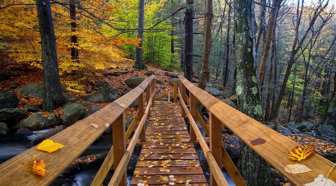 Harriman state park Free hike