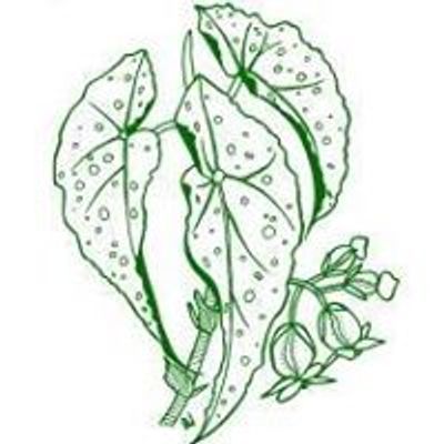 South Australian Begonia Society