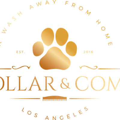 Collar & Comb: Boutique Grooming | Training | Dayc