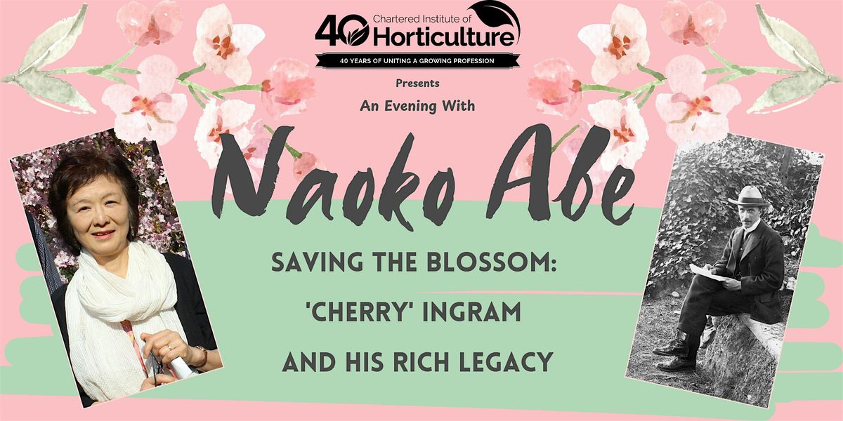 Naoke Abe  - Saving the blossom: 'Cherry' Ingram and his rich legacy