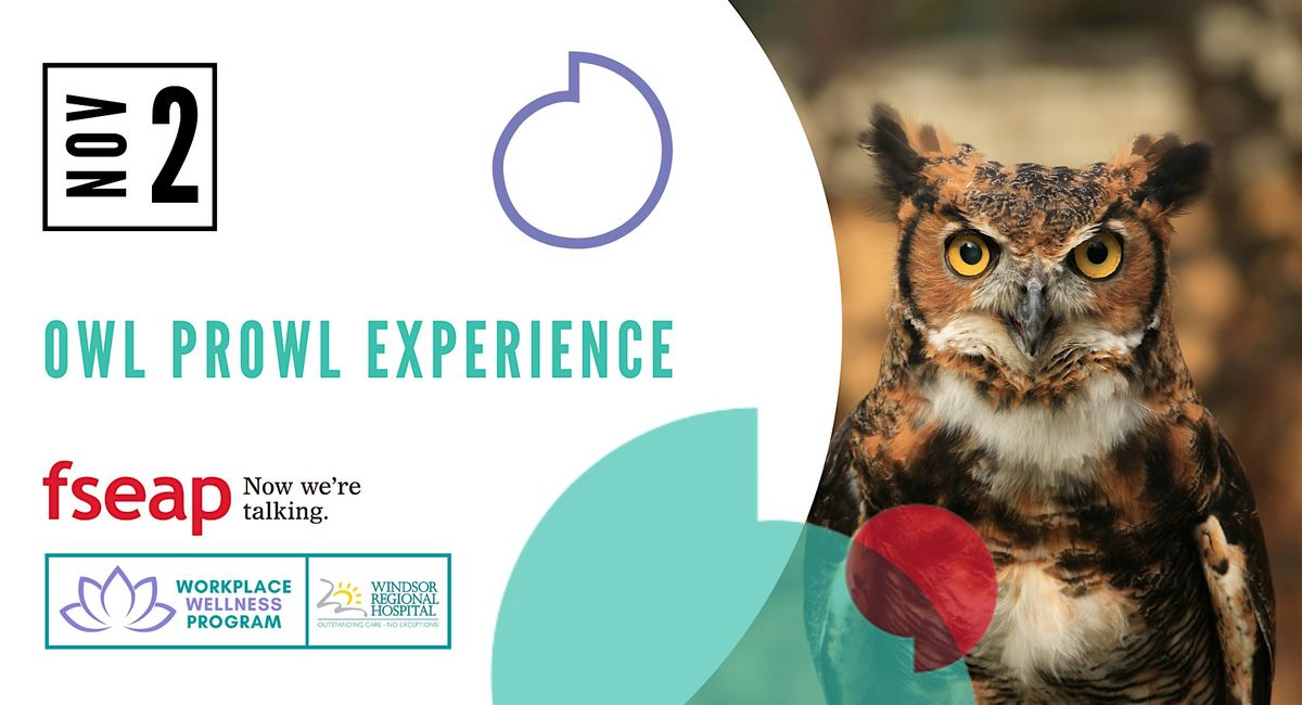 The Owl Prowl Experience