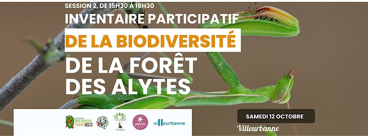 Inventaire participatif de la for\u00eat des alytes - Session 2