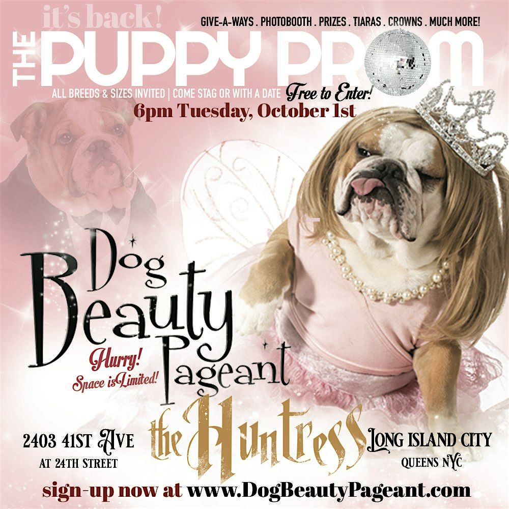 DogBeautyPageant's PUPPY PROM - LIC