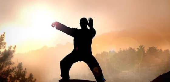 Shen Hsing Tao Tai Chi 