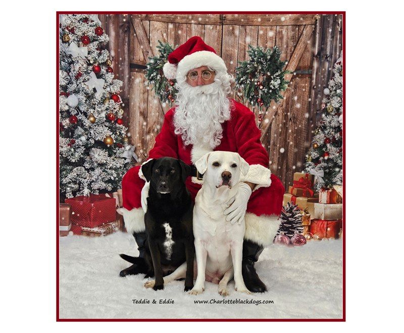 Santa Paws Photo Fundraiser