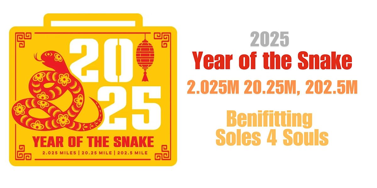 2025 New Year Challenge - Year of the Snake