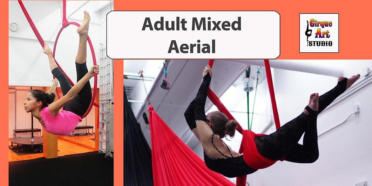 Adult Mixed Aerial