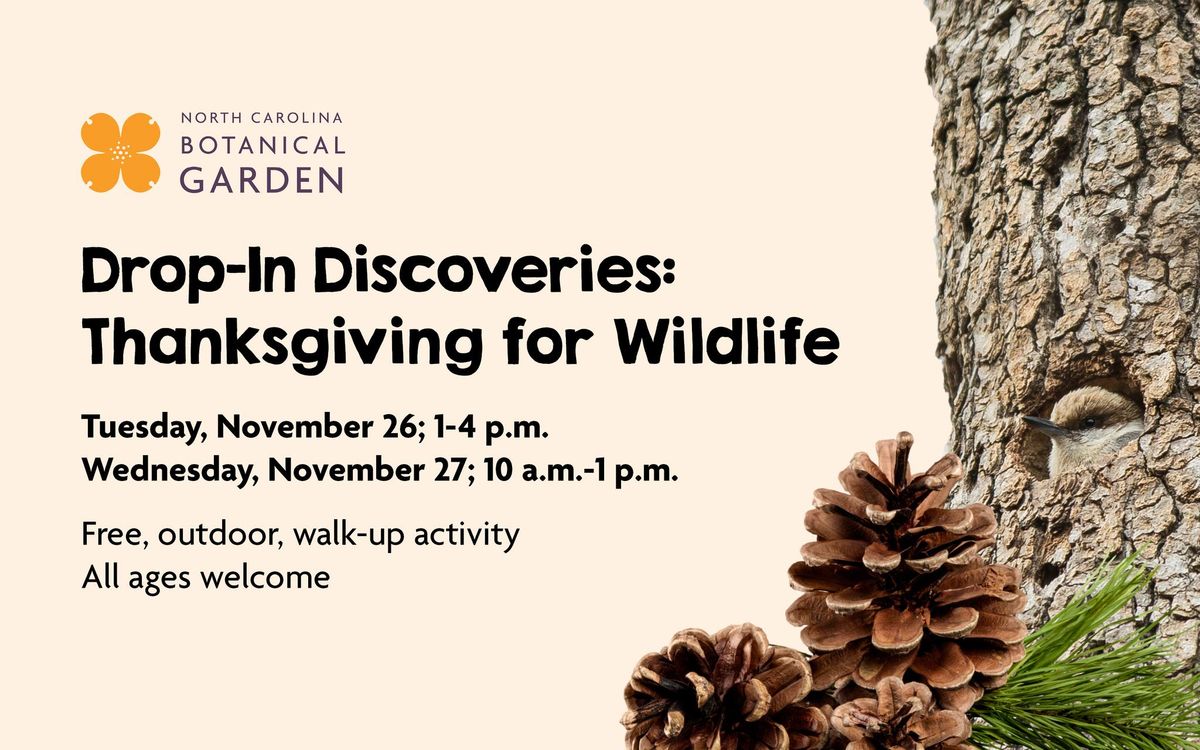 Drop-In Discoveries: Thanksgiving for Wildlife