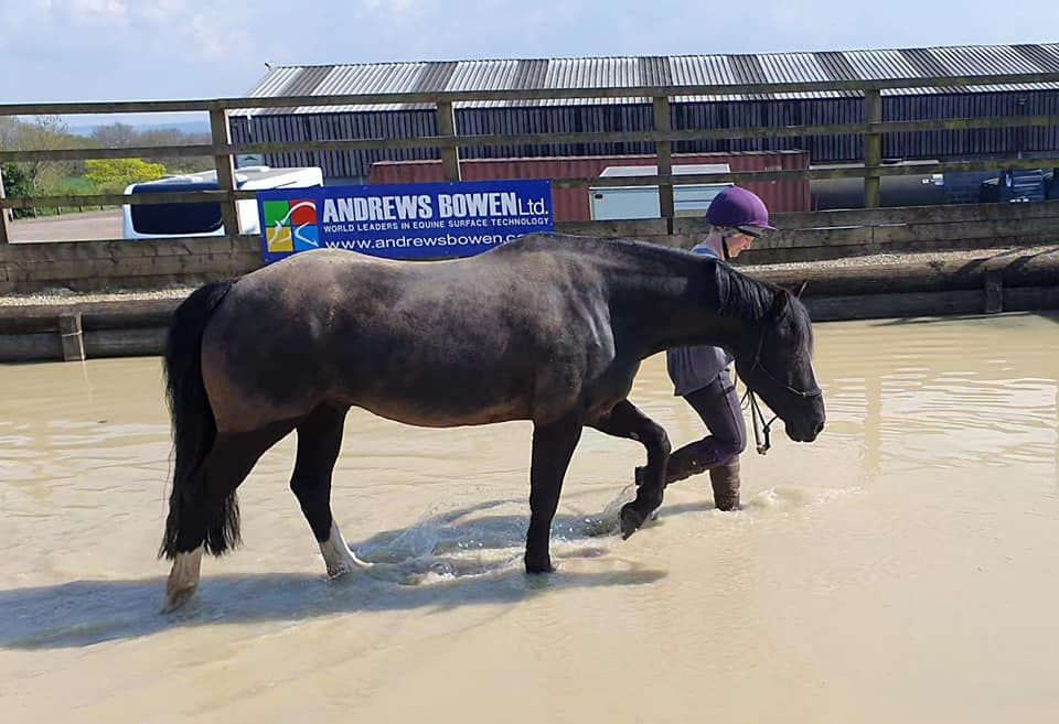 Spring Camp at Aylesford Equine