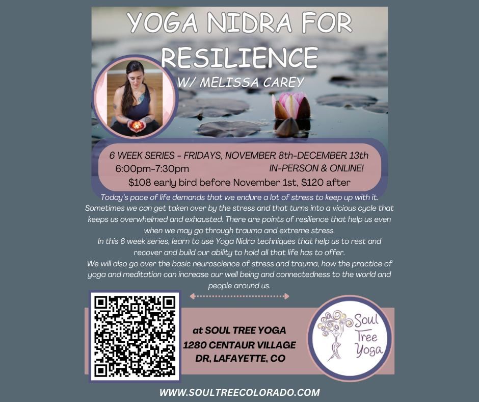 Yoga Nidra for Resilience with Melissa Carey In-person & Online!