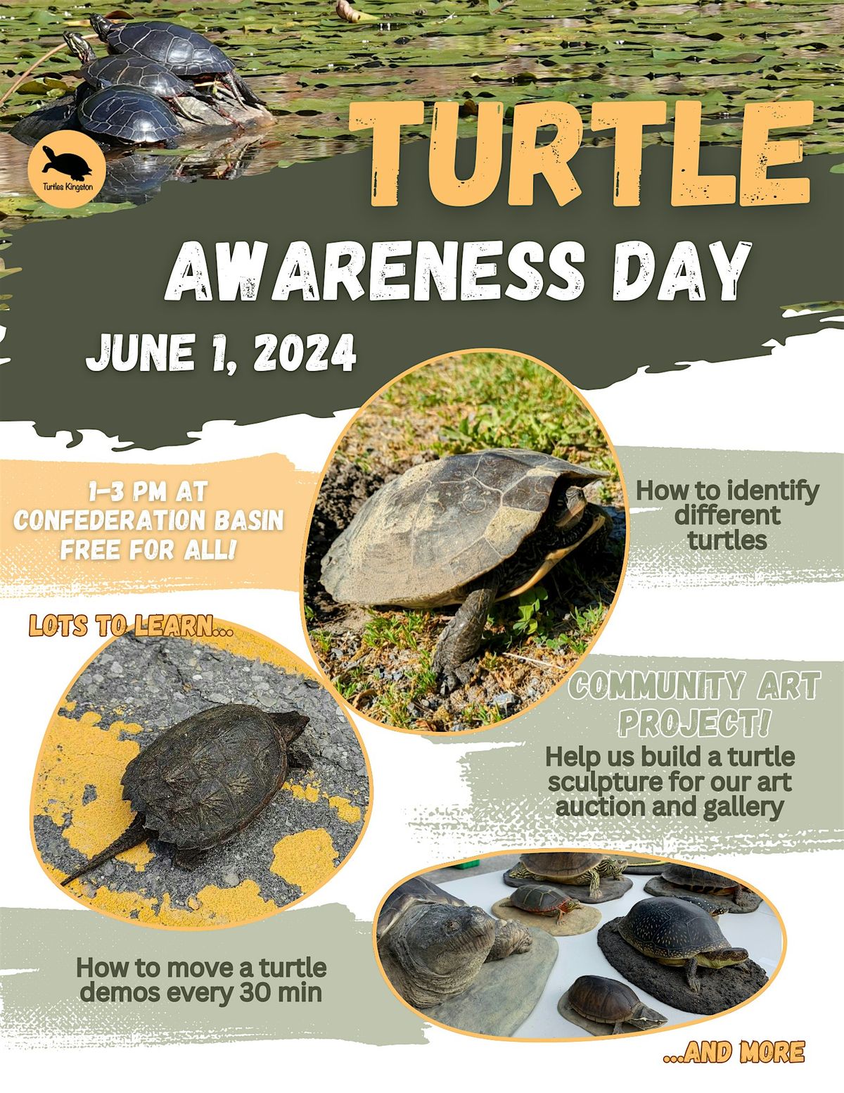 Turtle Awareness Day