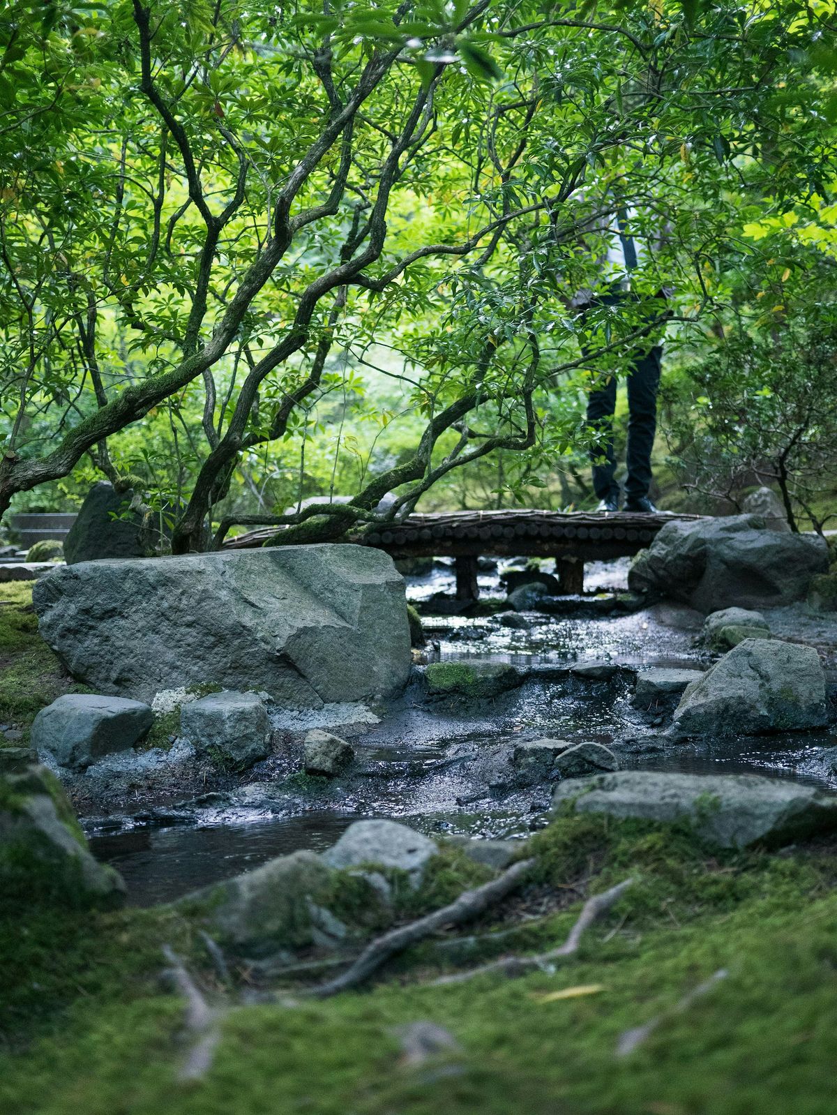 Madison Writing & Wellness Retreat in Nature!