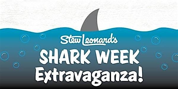 Shark Week Cupcake Extravaganza