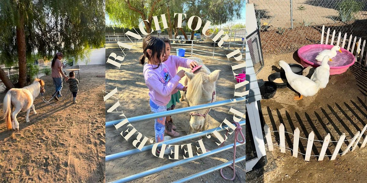 Horse Ranch Tour Experience