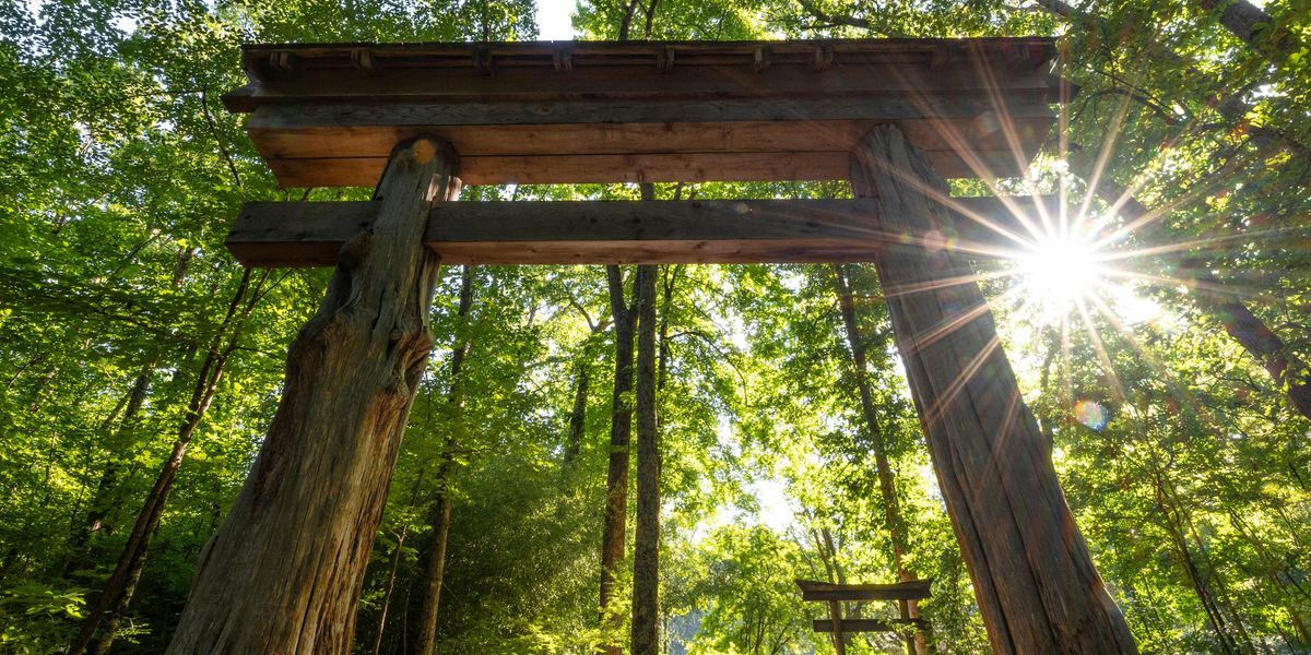 Japanese Garden Photo Workshop