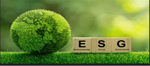 What CPAs Need to Know About ESG