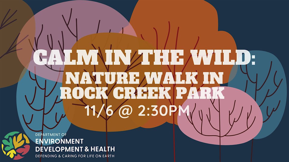 Calm in the Wild: Nature Walk in Rock Creek Park