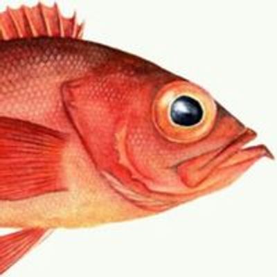 Redfish Events