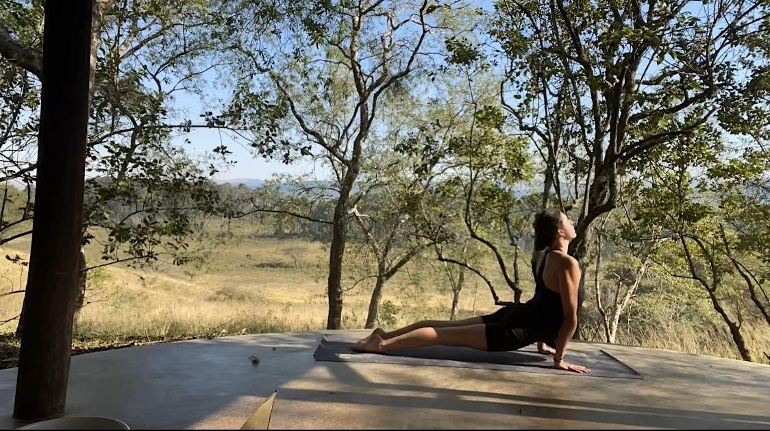Cours de Yoga tous niveaux plein air
