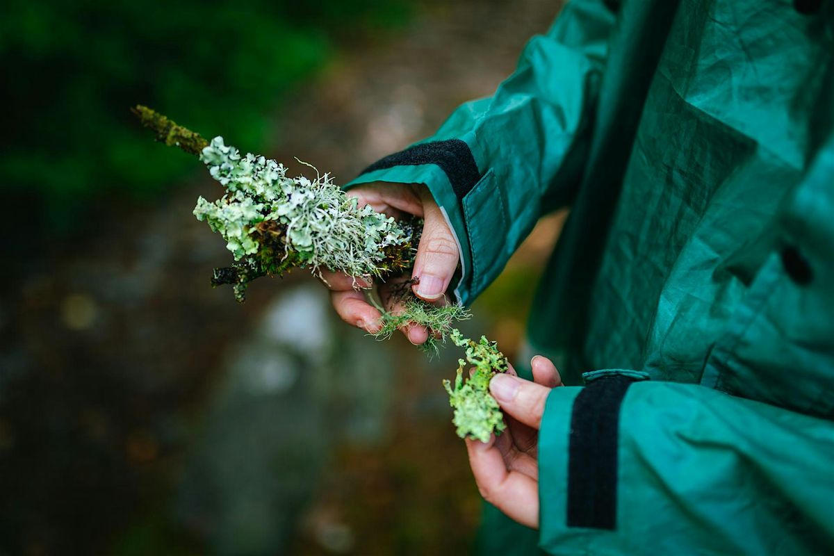 Site As A Classroom: Lichen Lover & Air Quality