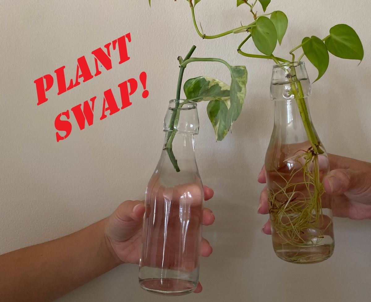 Plant Swap!