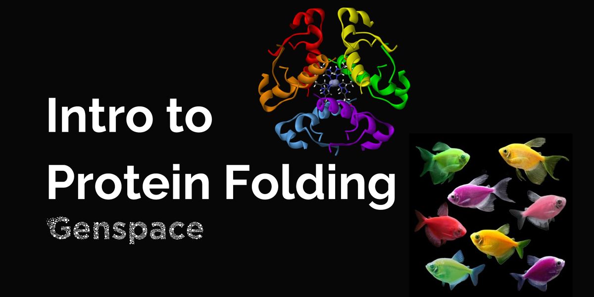 Intro to Protein Folding