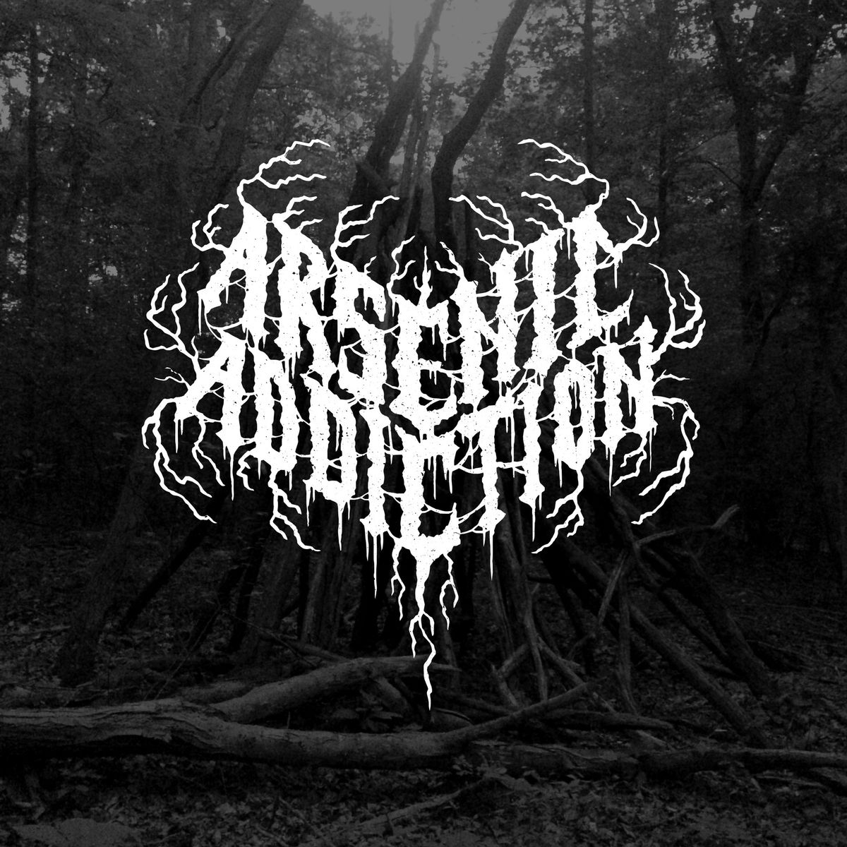  Arsenic Addiction - Spring Equinox Ritual at Metro Music Hall