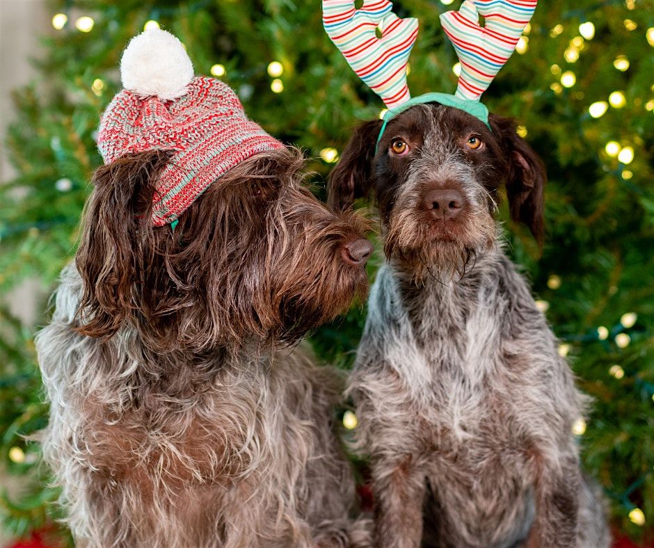 Santa Paws at The Kingsley