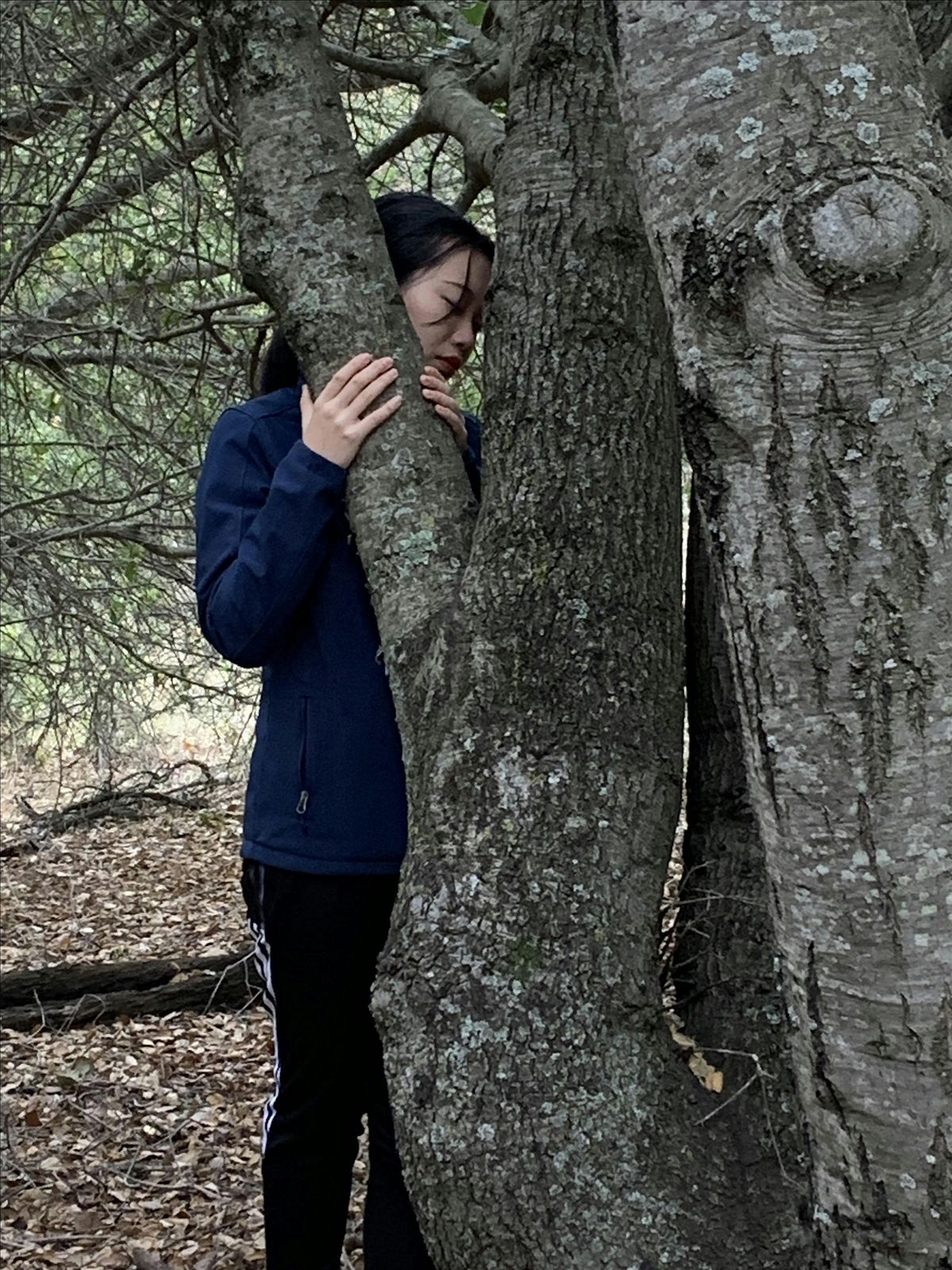 Center Yourself with Forest Bathing