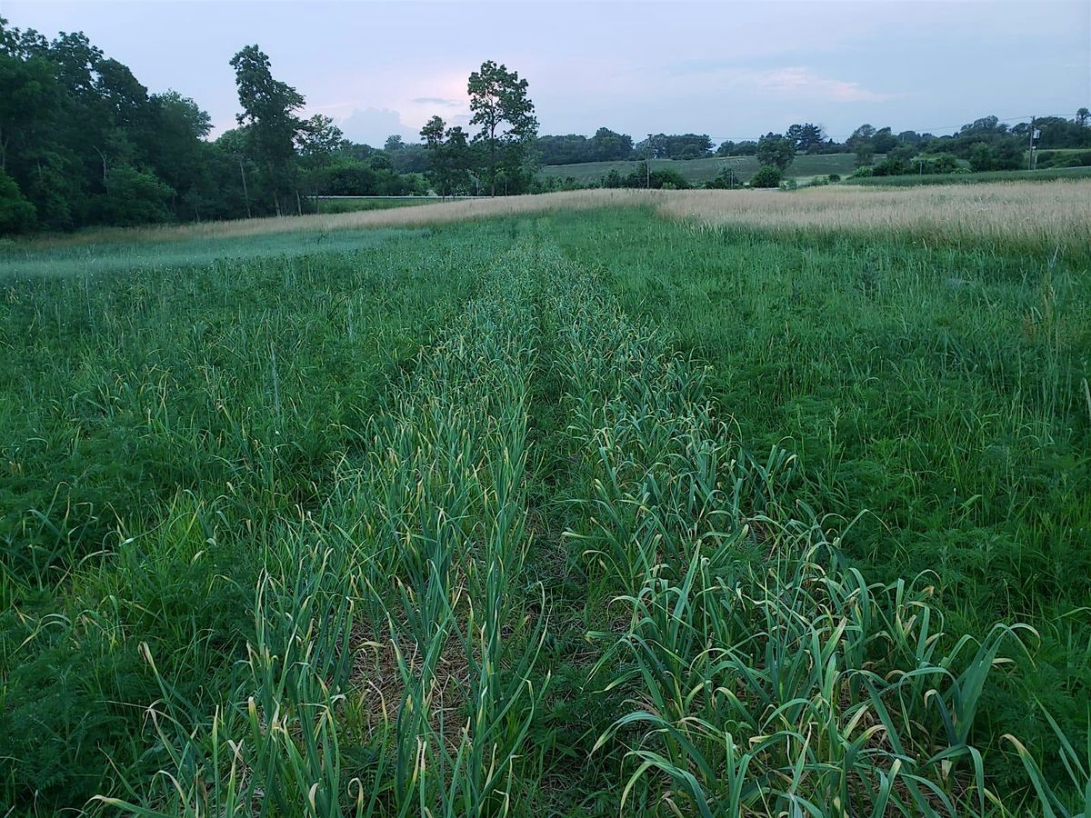 The 2024 Garlic Scapes Scavanger Party, 14115 Kishwaukee Valley Road