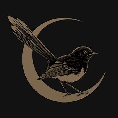 Mysteries Lost in History