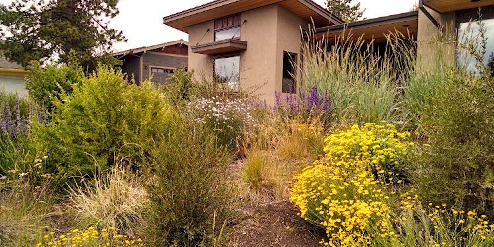 Introduction to Native Plant Landscaping with Rick Martinson