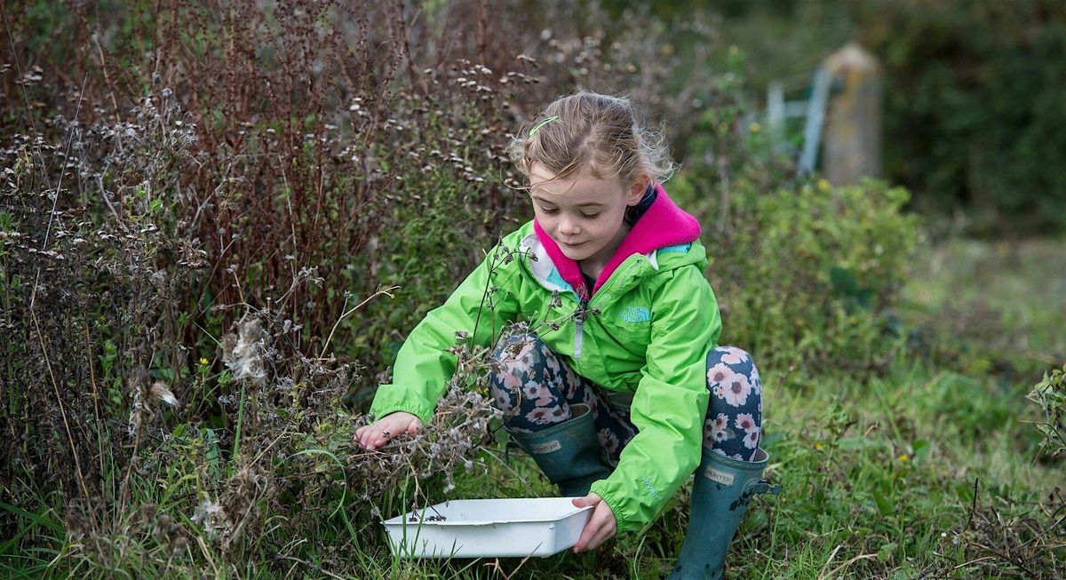 Young Rangers - Woolley Firs Maidenhead, September - November Term