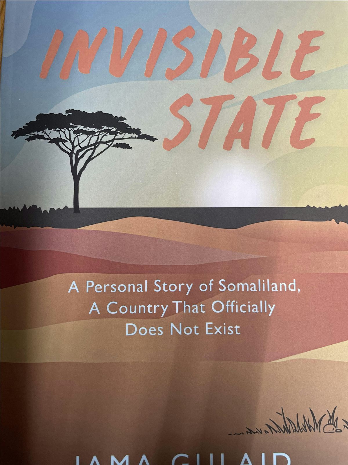 Book Launch: Invisible State by Jama Gulaid