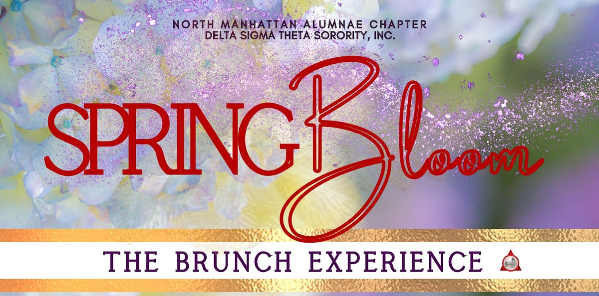 The NMACDST Brunch Experience