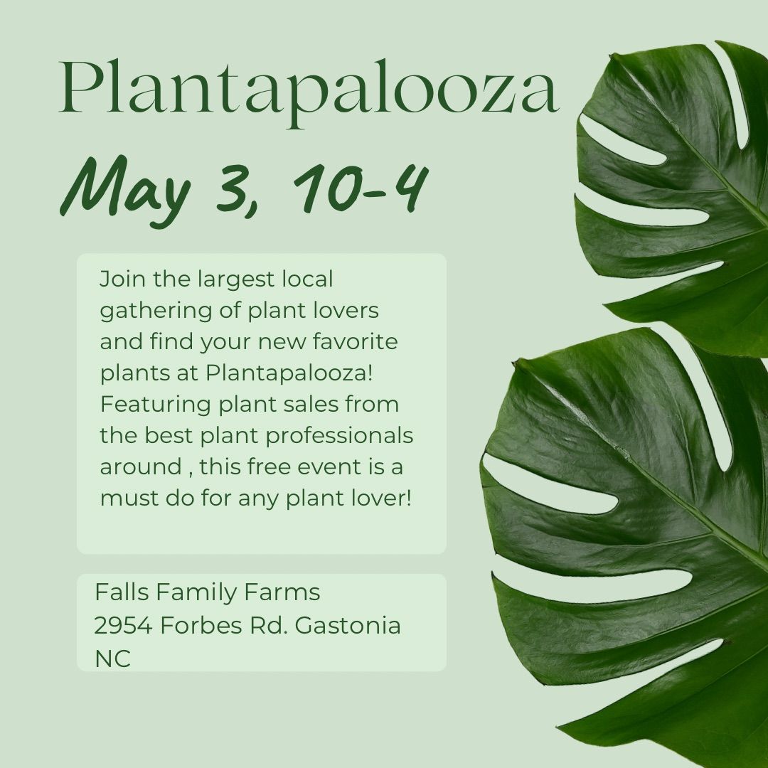 Plantapalooza 