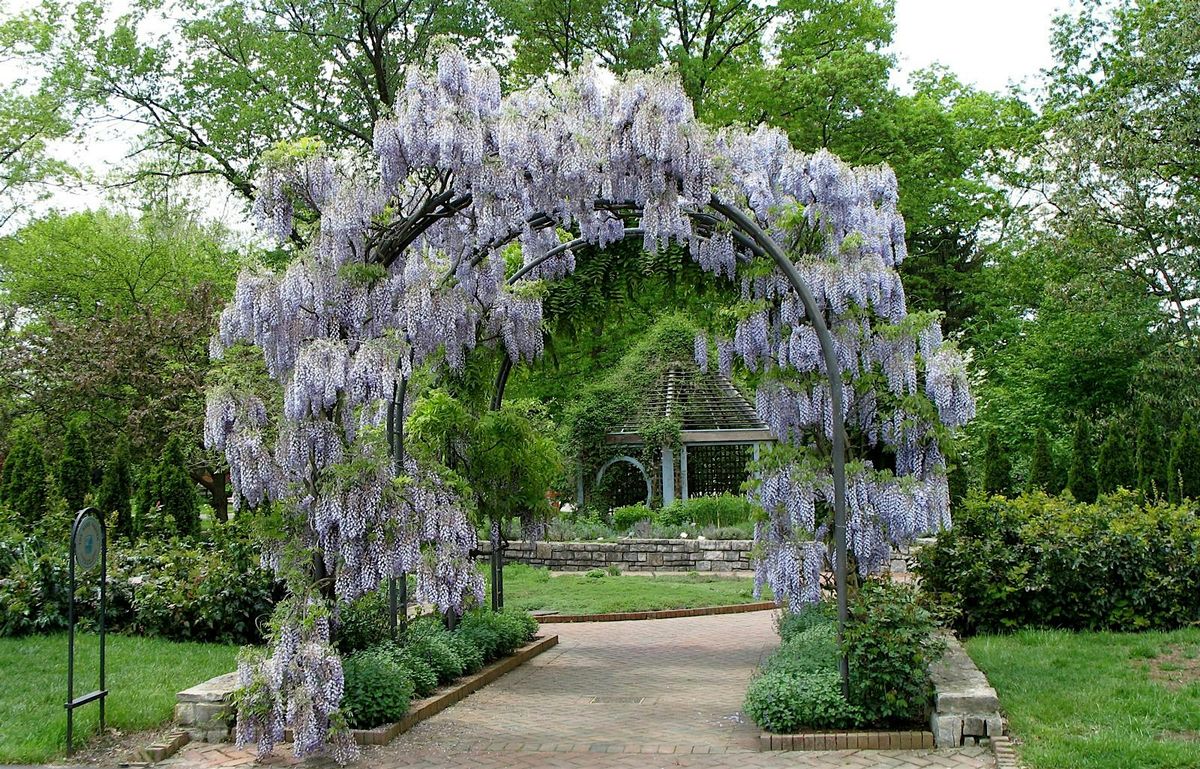 Happy Hikers Club: Sensory Walk in the Gardens