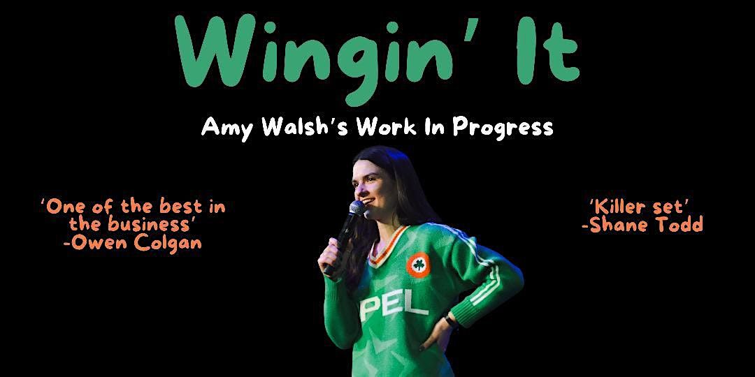 Amy Walsh - Wingin' It