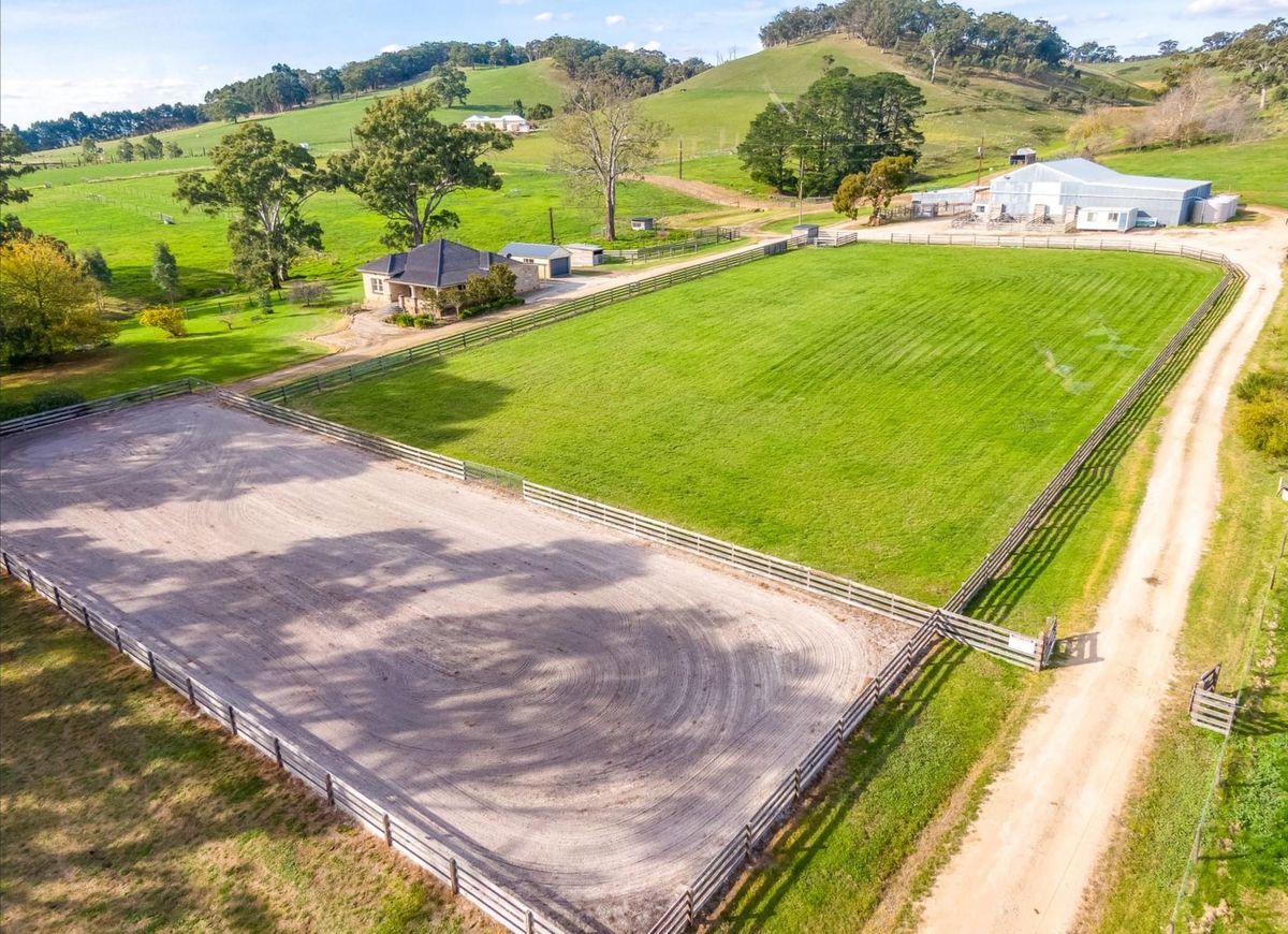 Meadows SA - Horsemanship Clinic