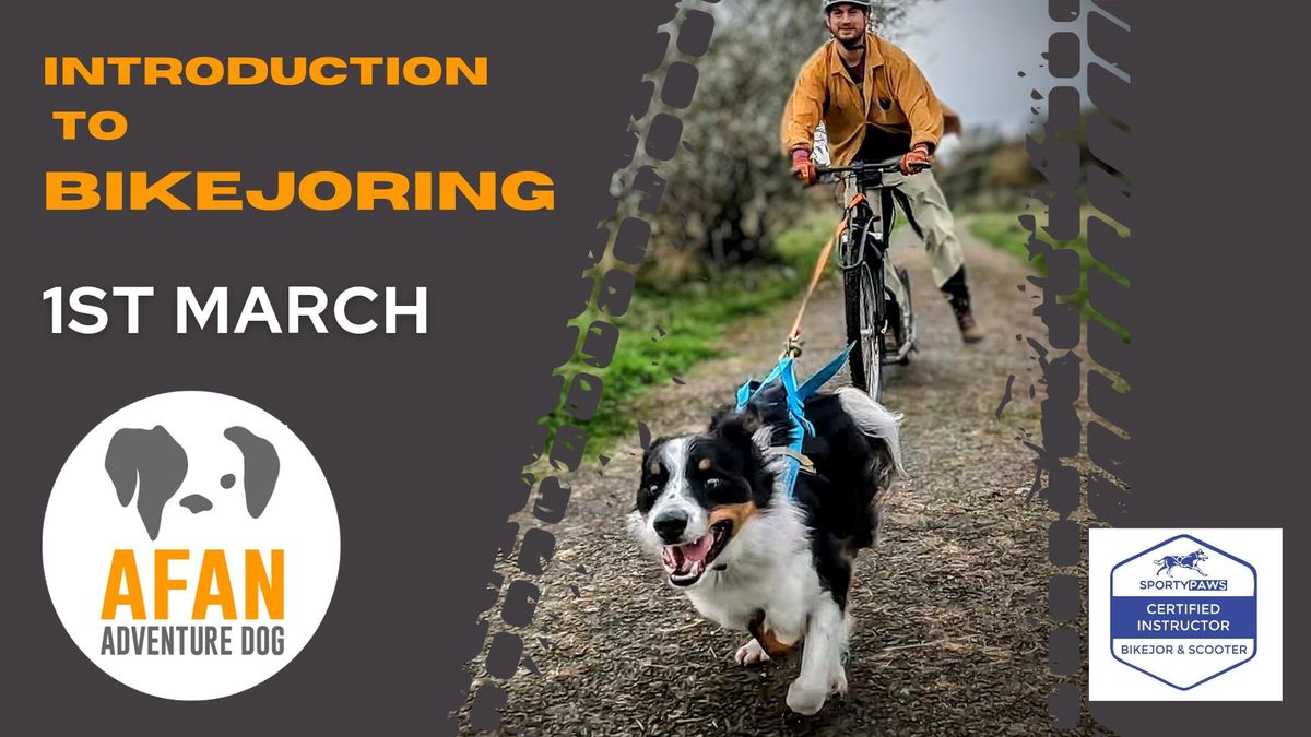 Introduction to Bikejoring and Scootering