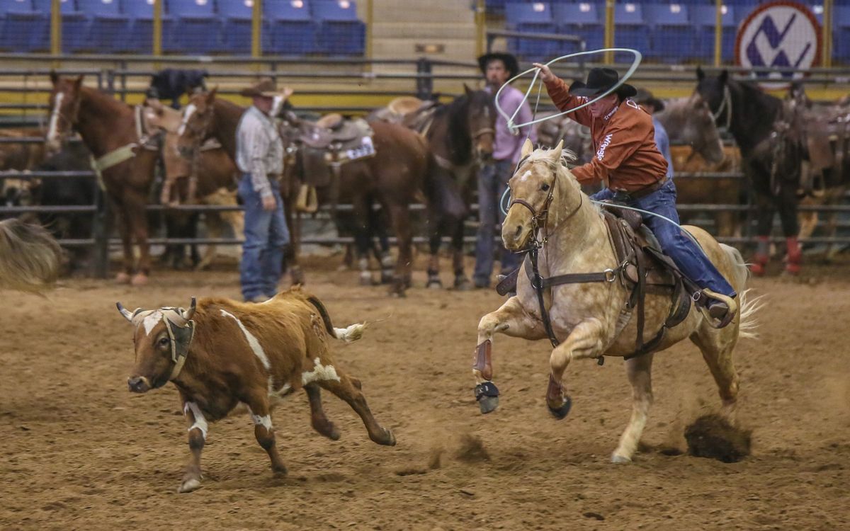 AQHA & APHA Show