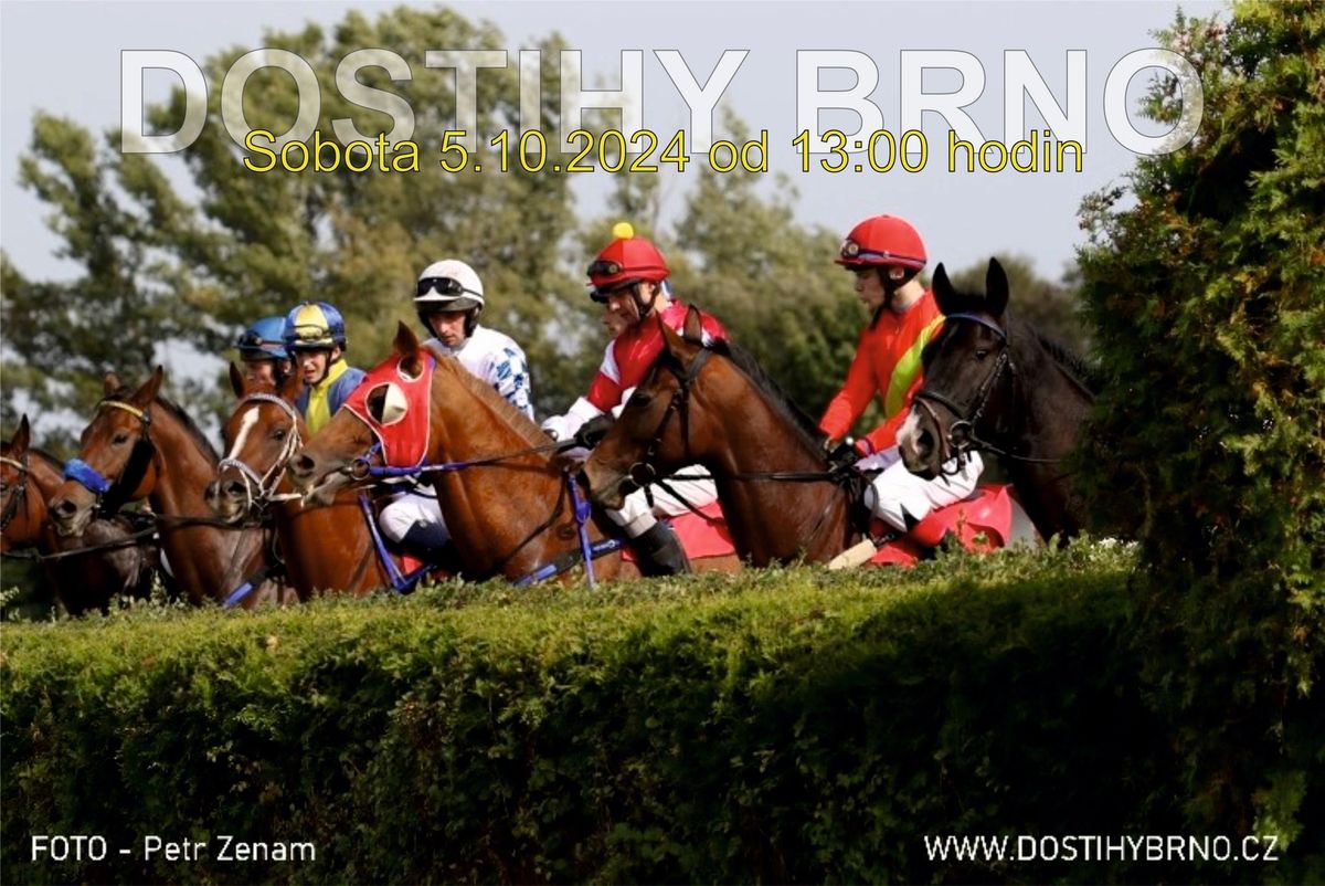 Dostihy Brno-Dvorska 5.10.2024